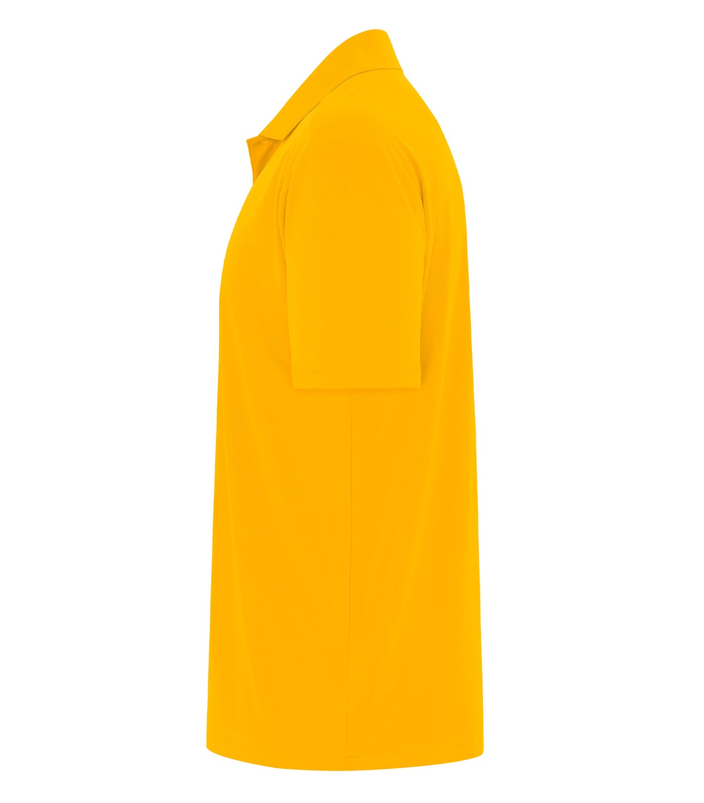 Gold-model Image