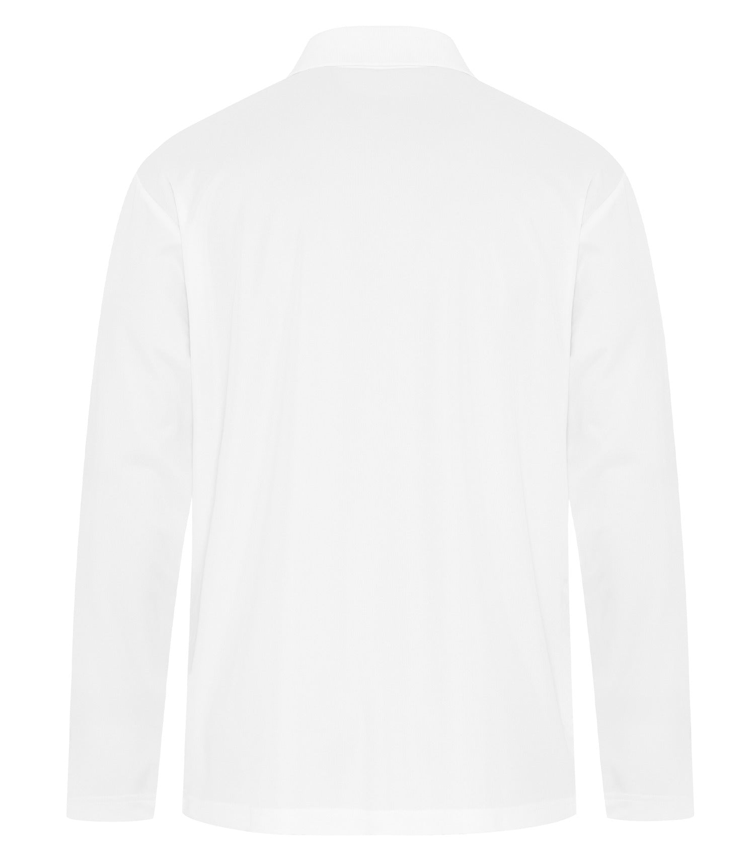White-model Image