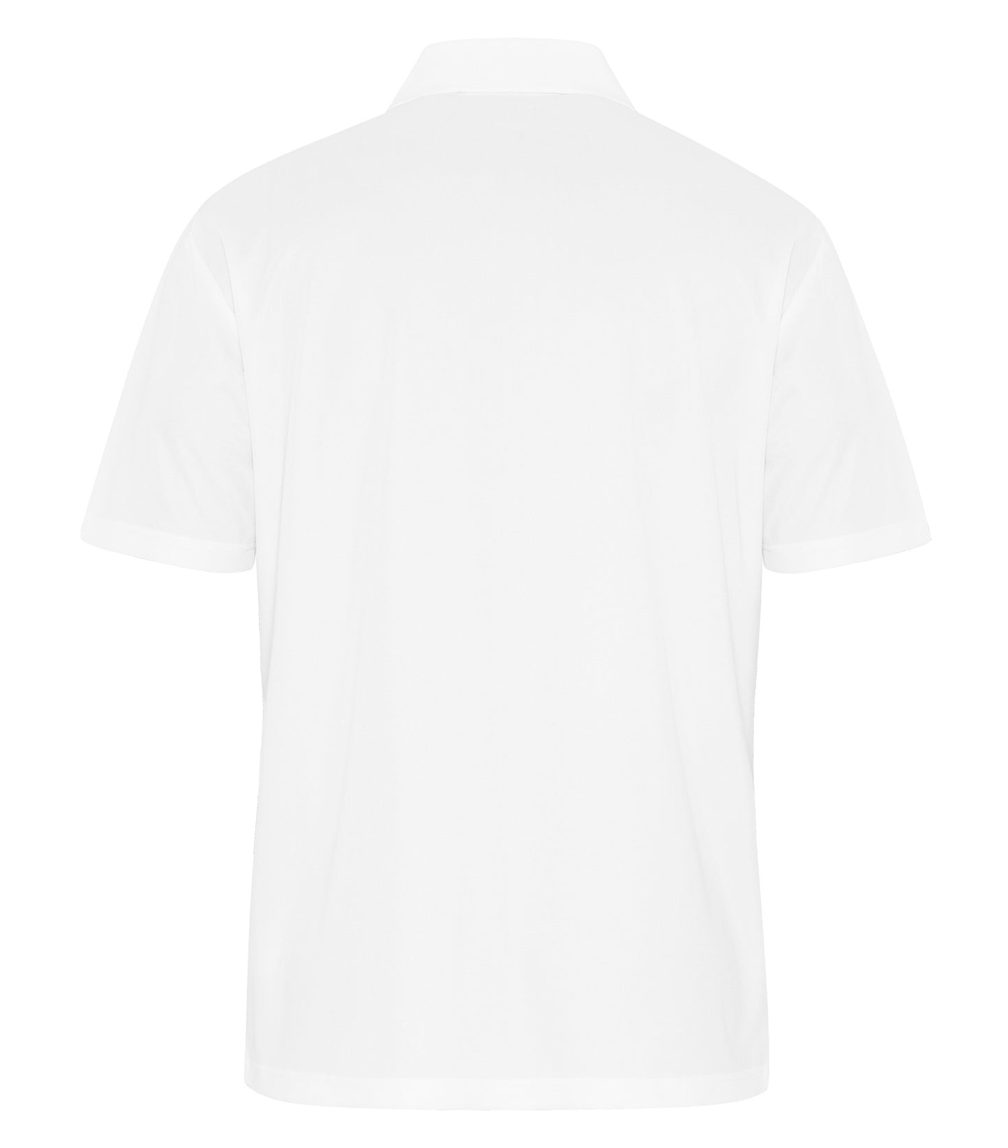 White-model Image