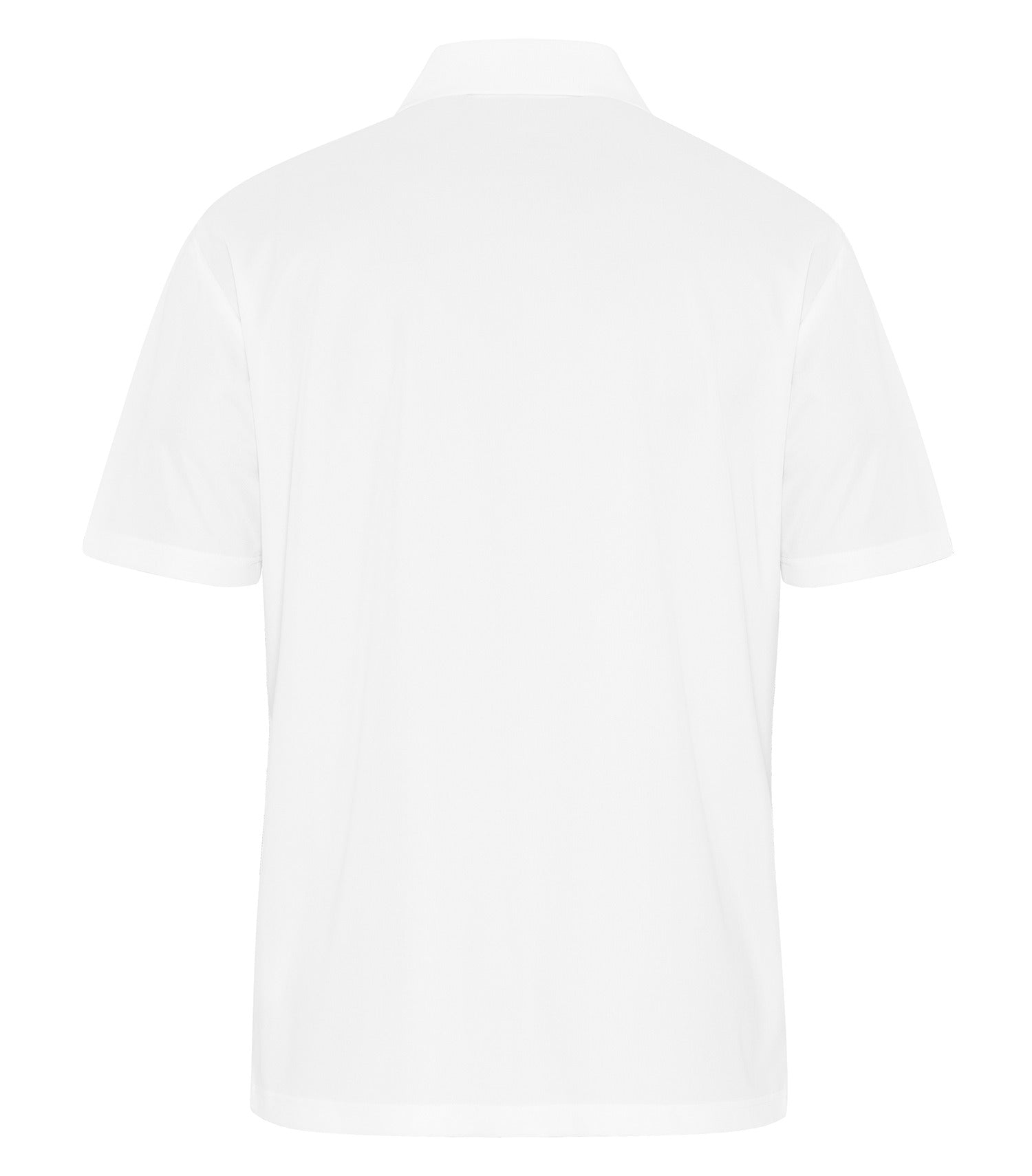 White-model Image
