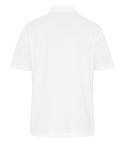 White-model Image