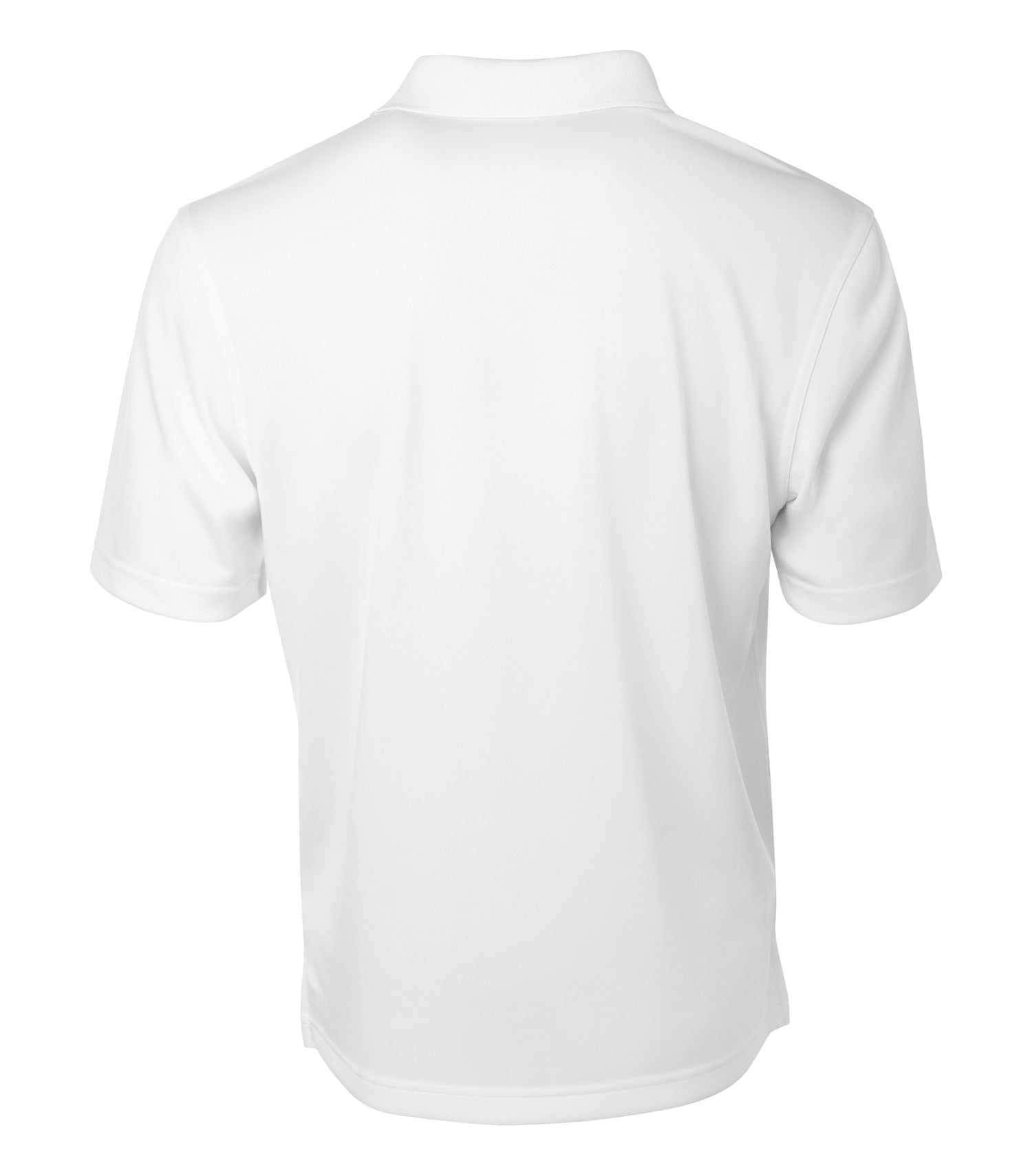 White-model Image