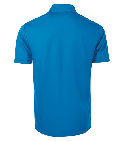 BrilliantBlue-model Image
