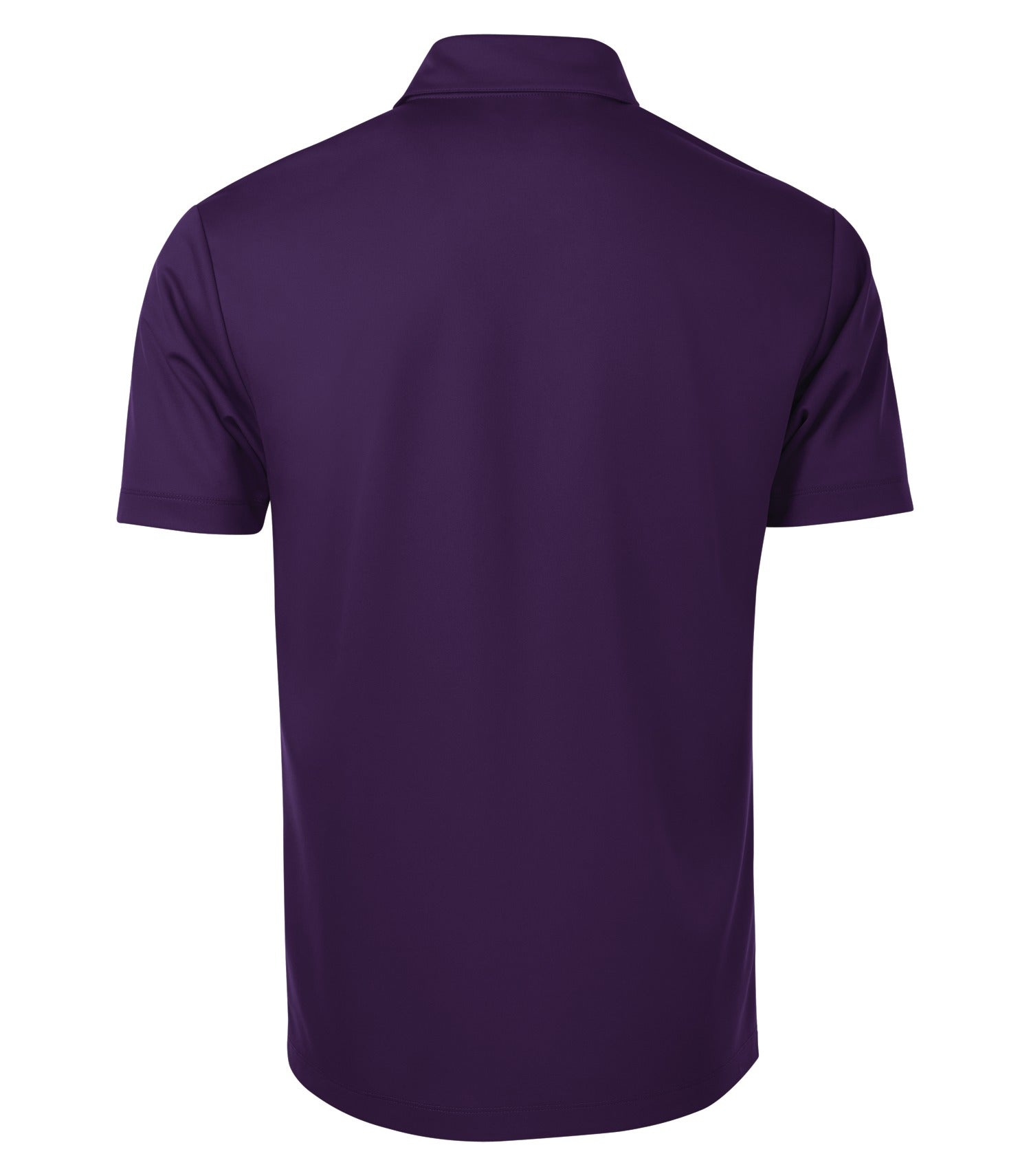 Deep Purple-model Image