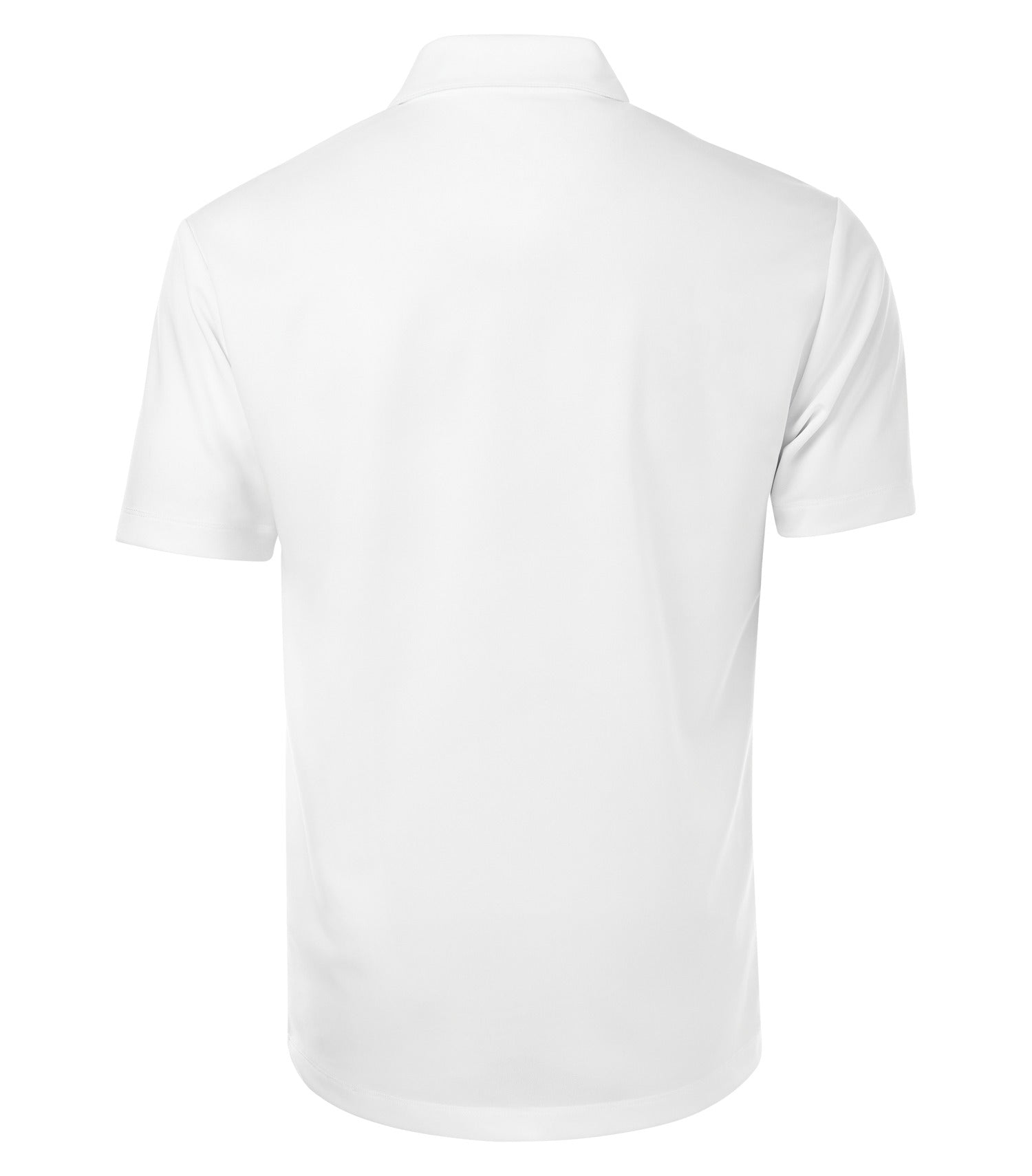 White-model Image