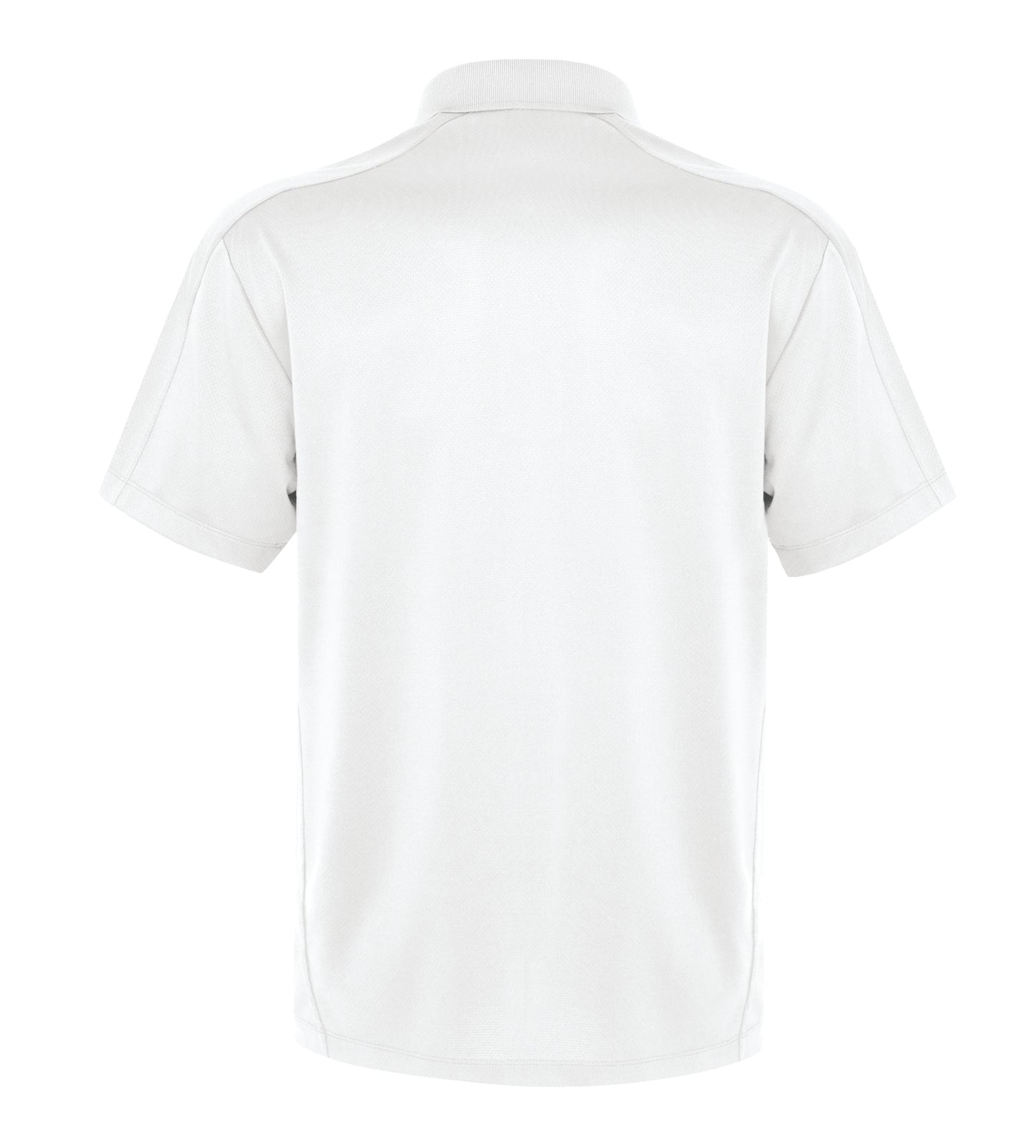 White-model Image