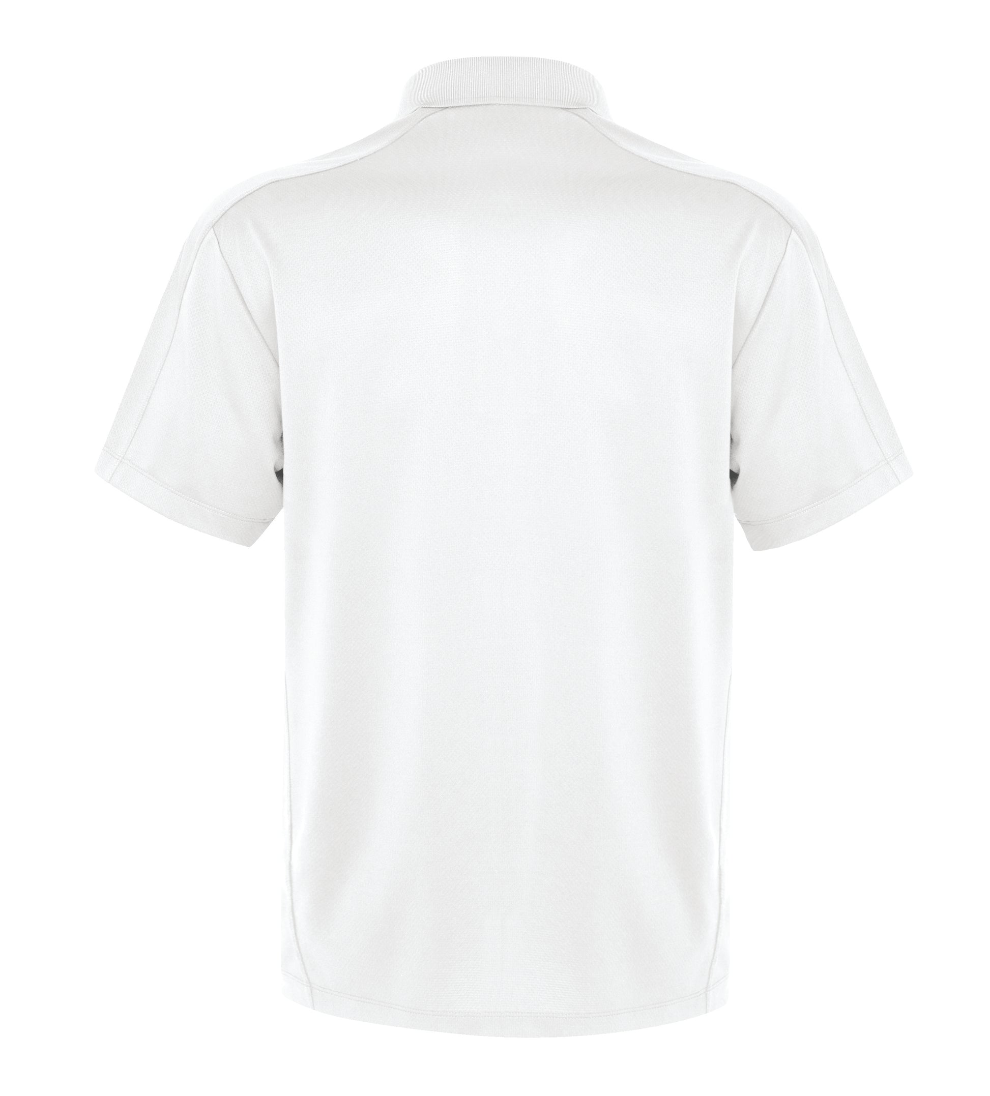 White-model Image