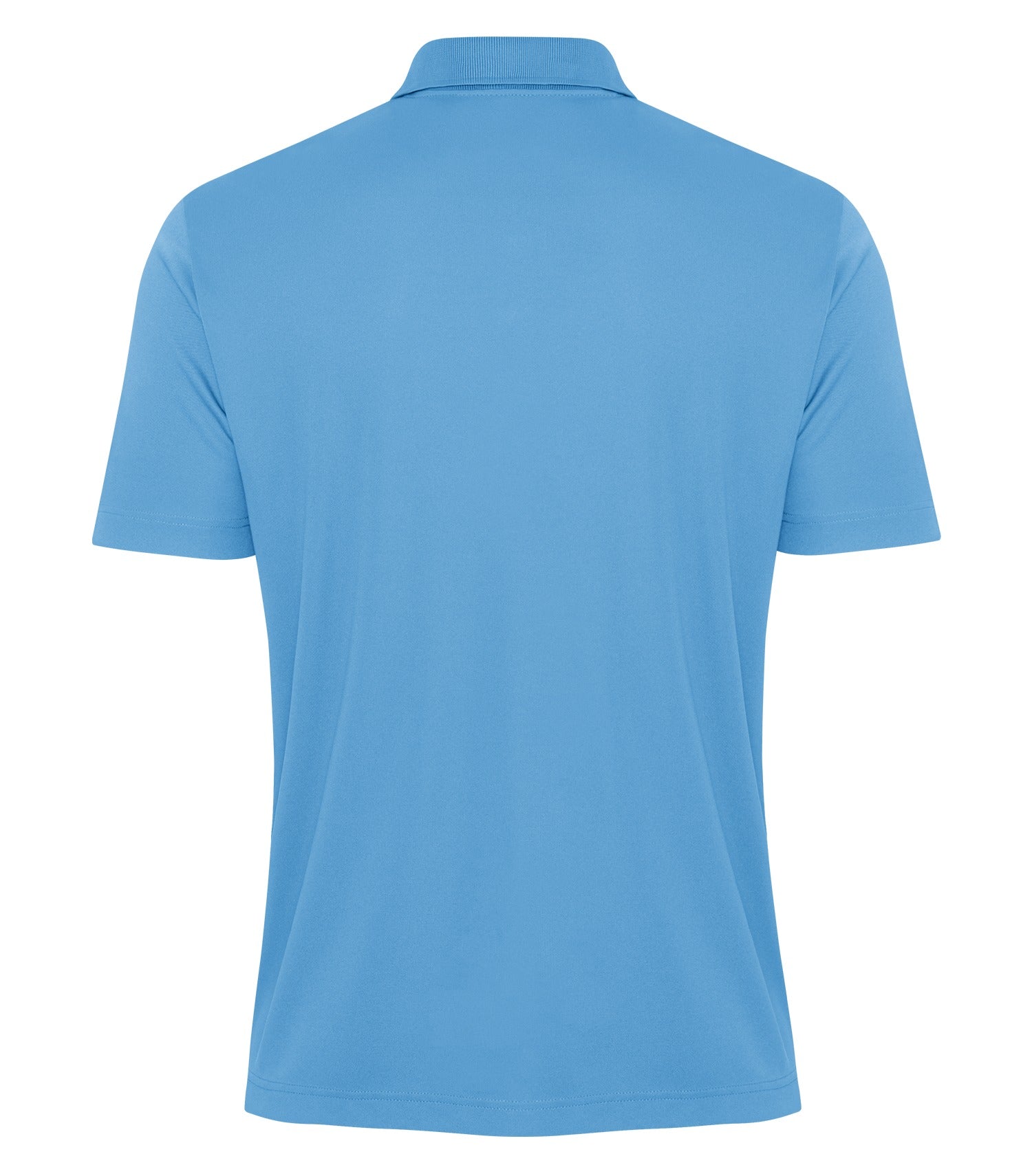 Carolina Blue-model Image