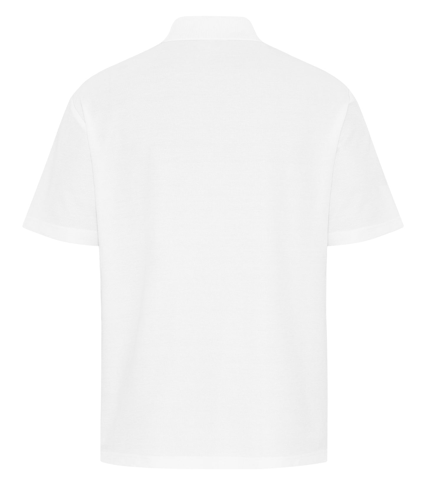 White-model Image