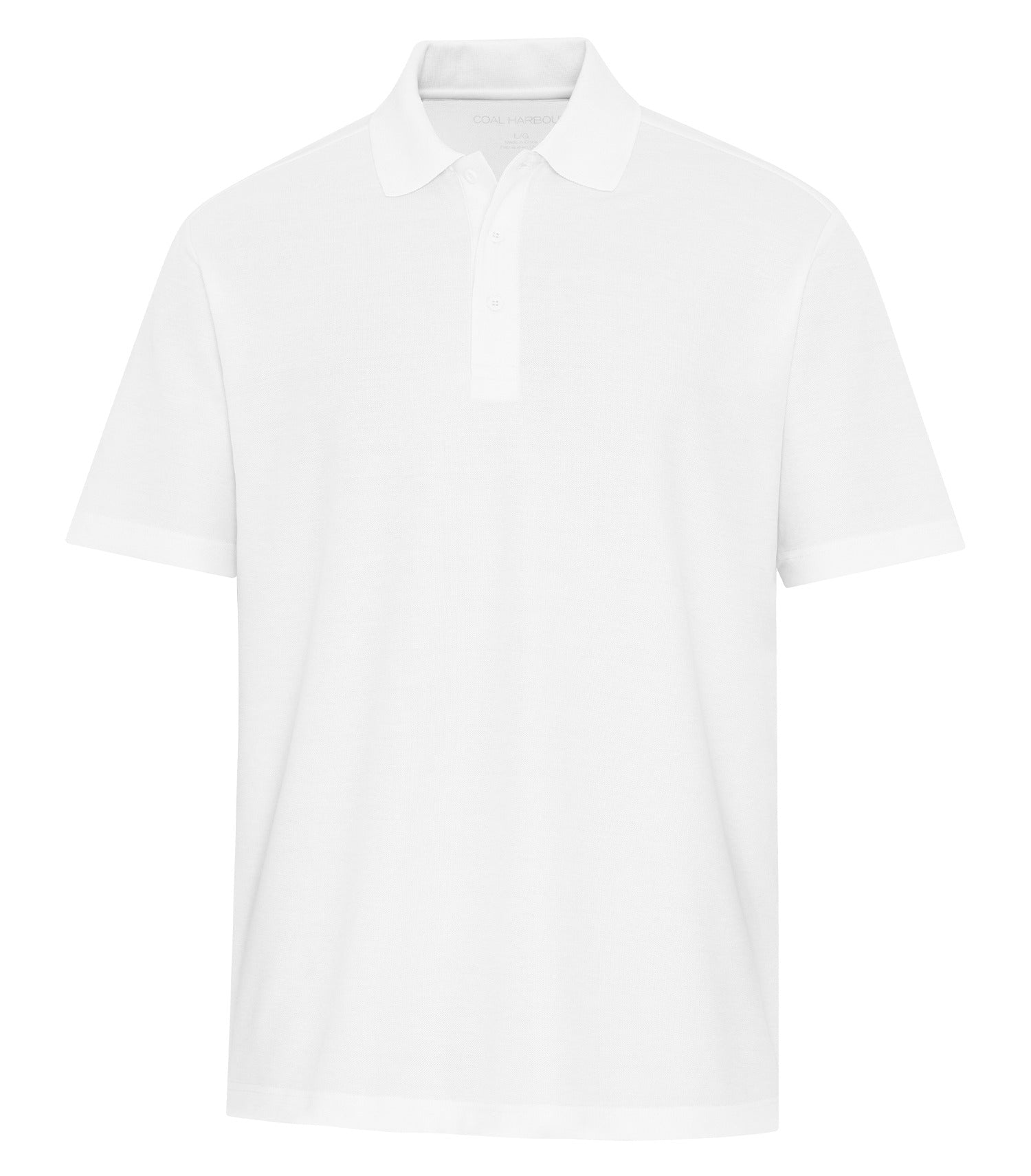 White-model Image