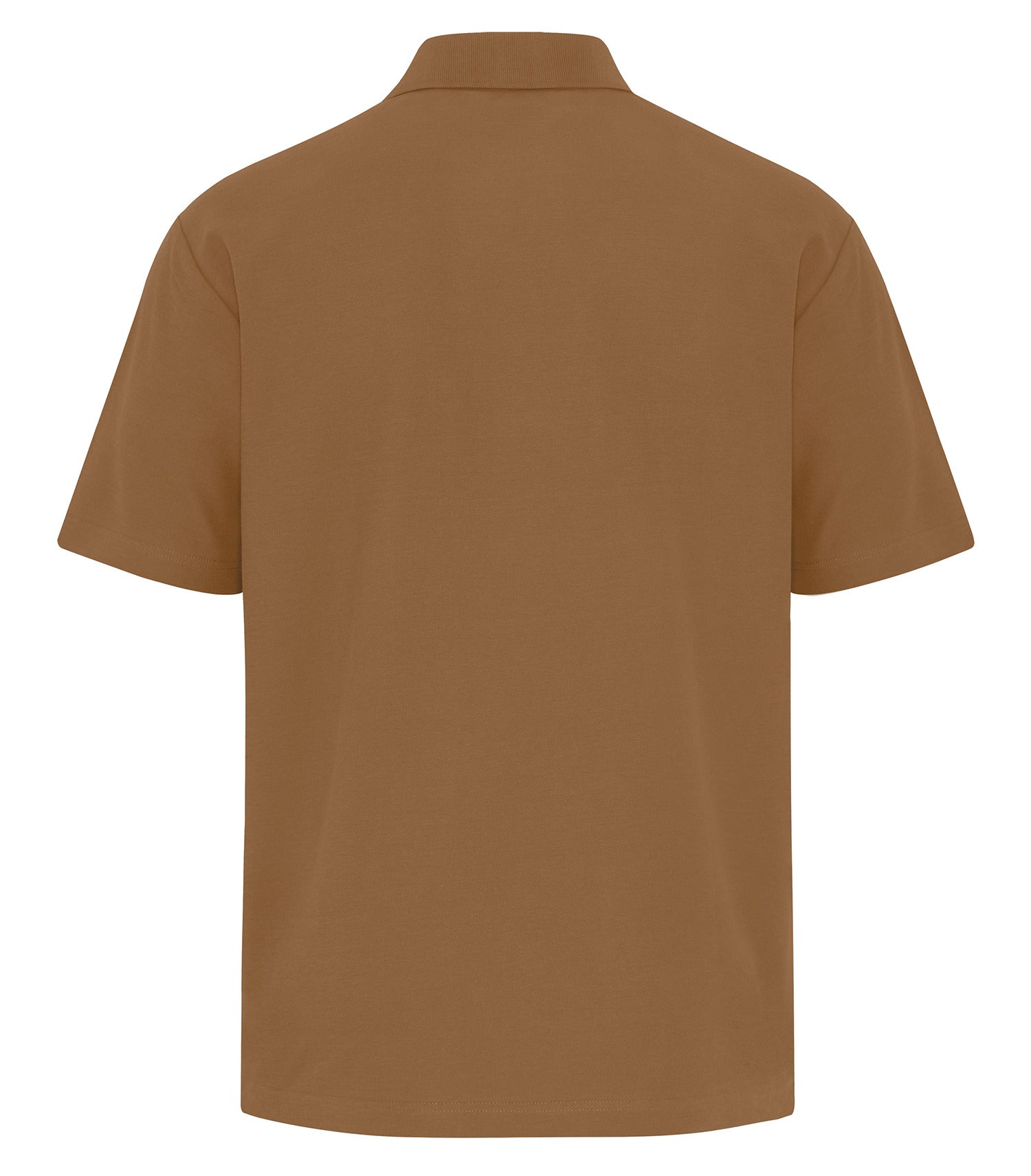 Duck Brown-model Image