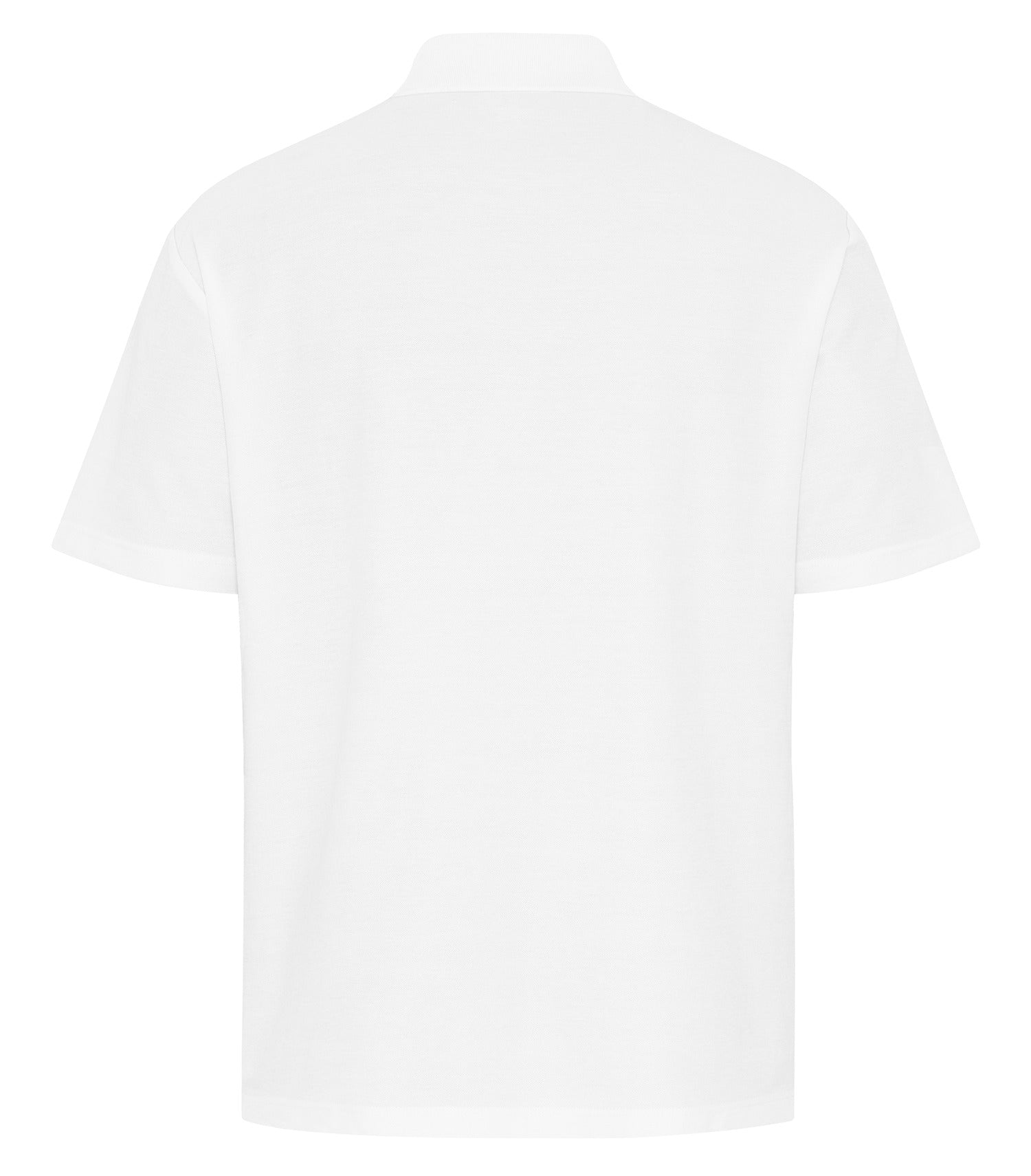 White-model Image