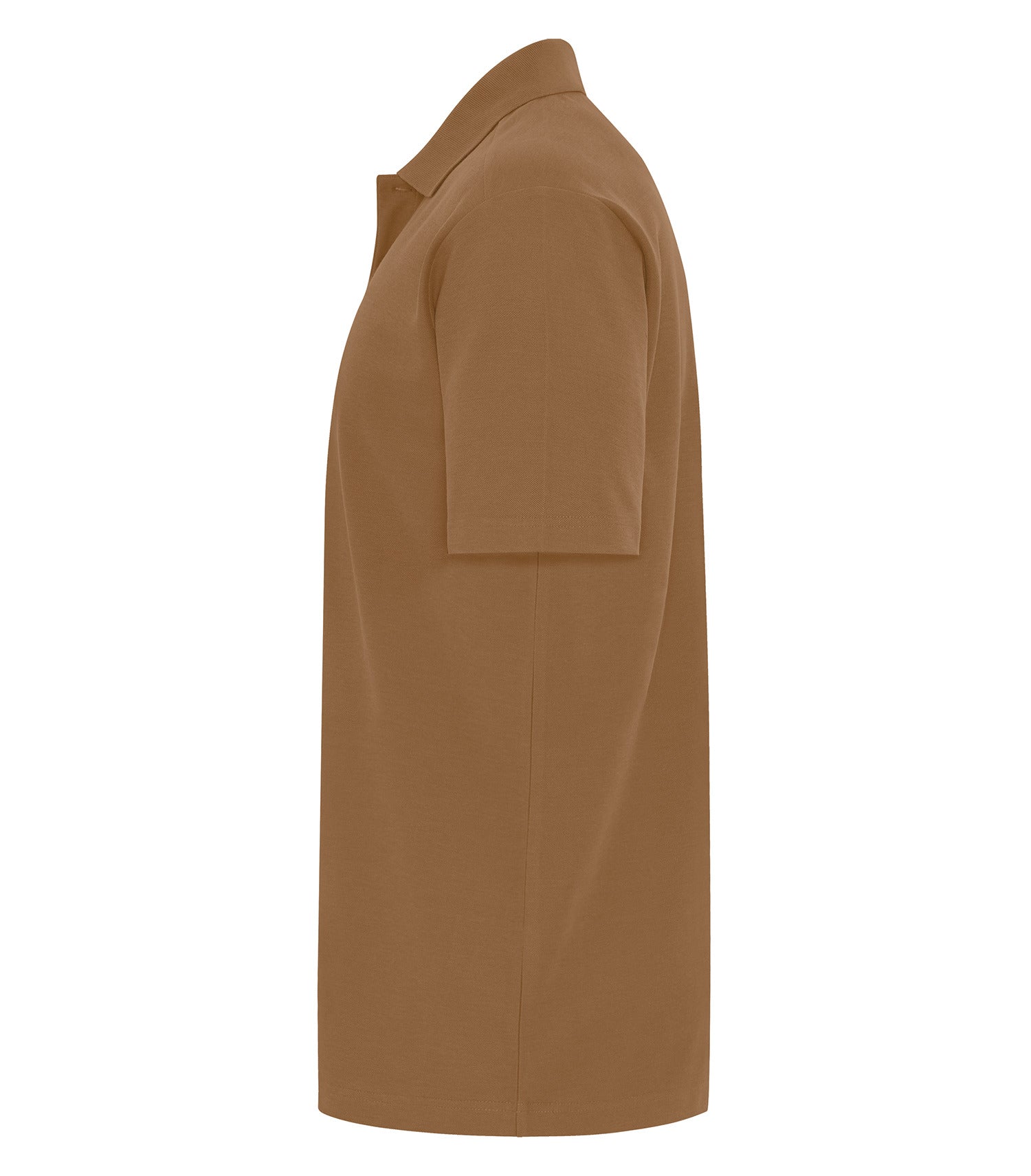Duck Brown-model Image