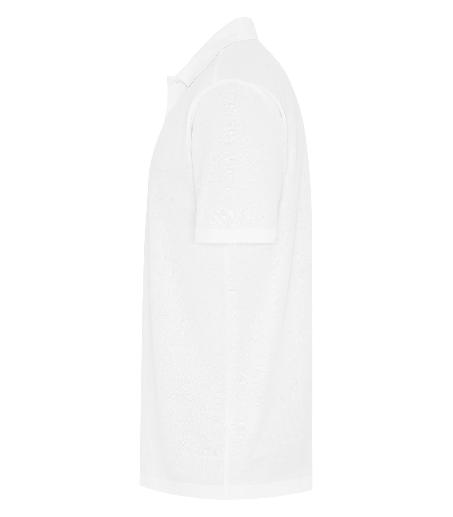 White-model Image
