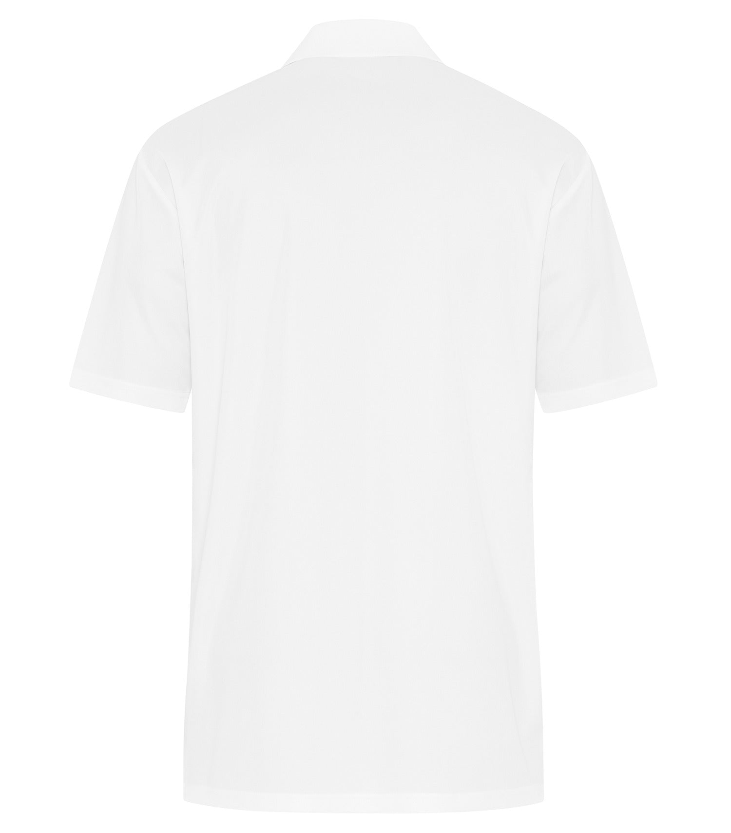 White-model Image