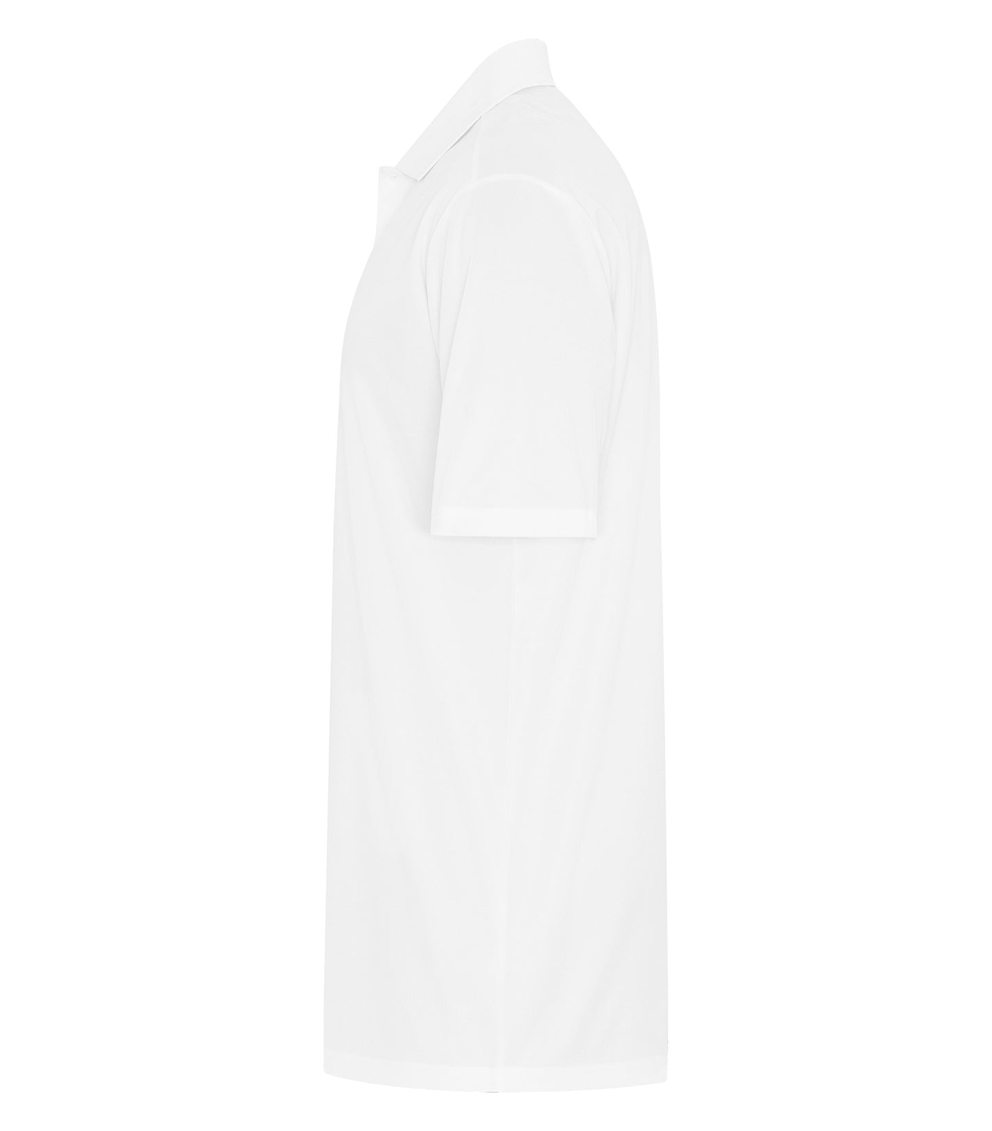 White-model Image