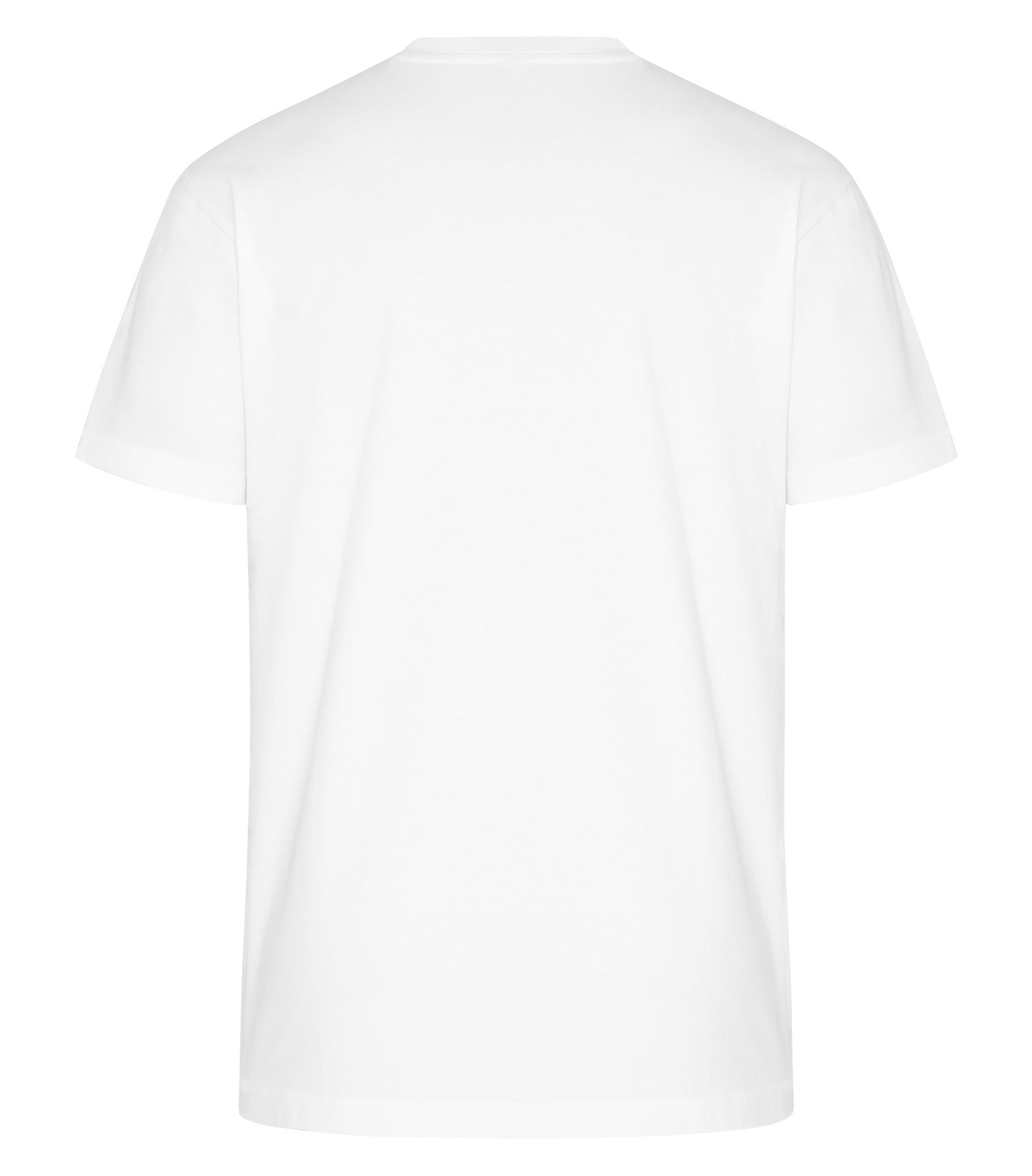 White-model Image