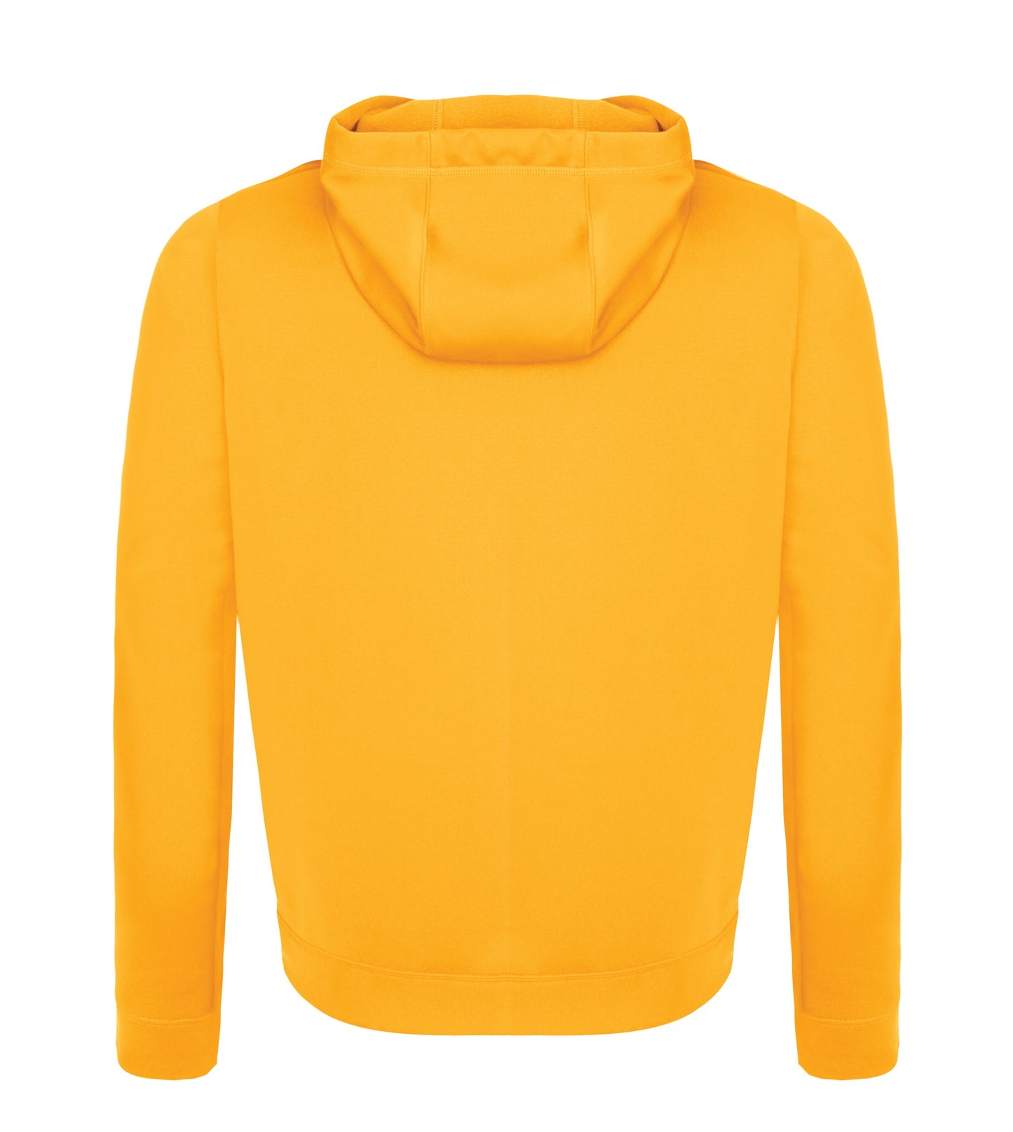 Gold-model Image