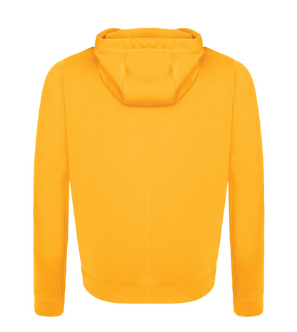 Gold-model Image