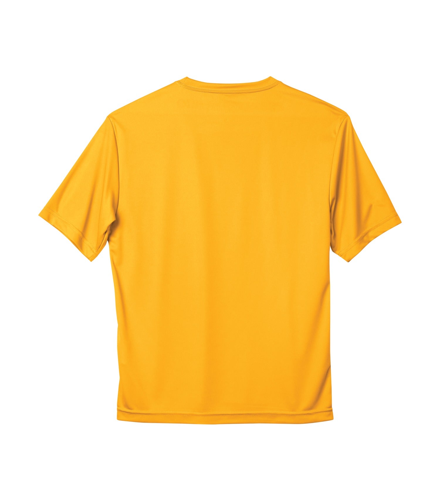 Gold-model Image