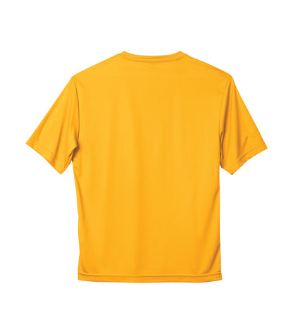 Gold-model Image
