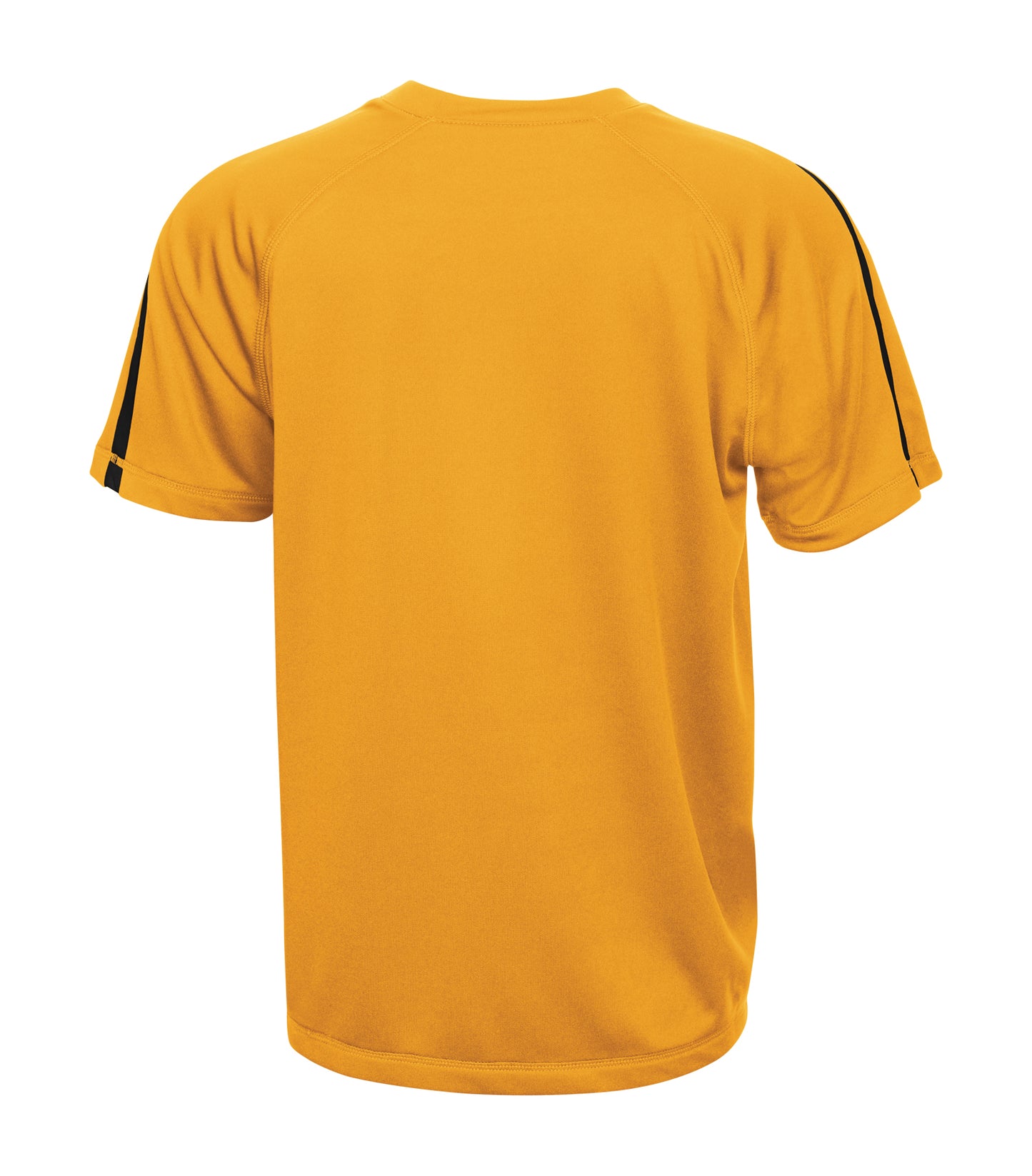 Gold/Black-model Image