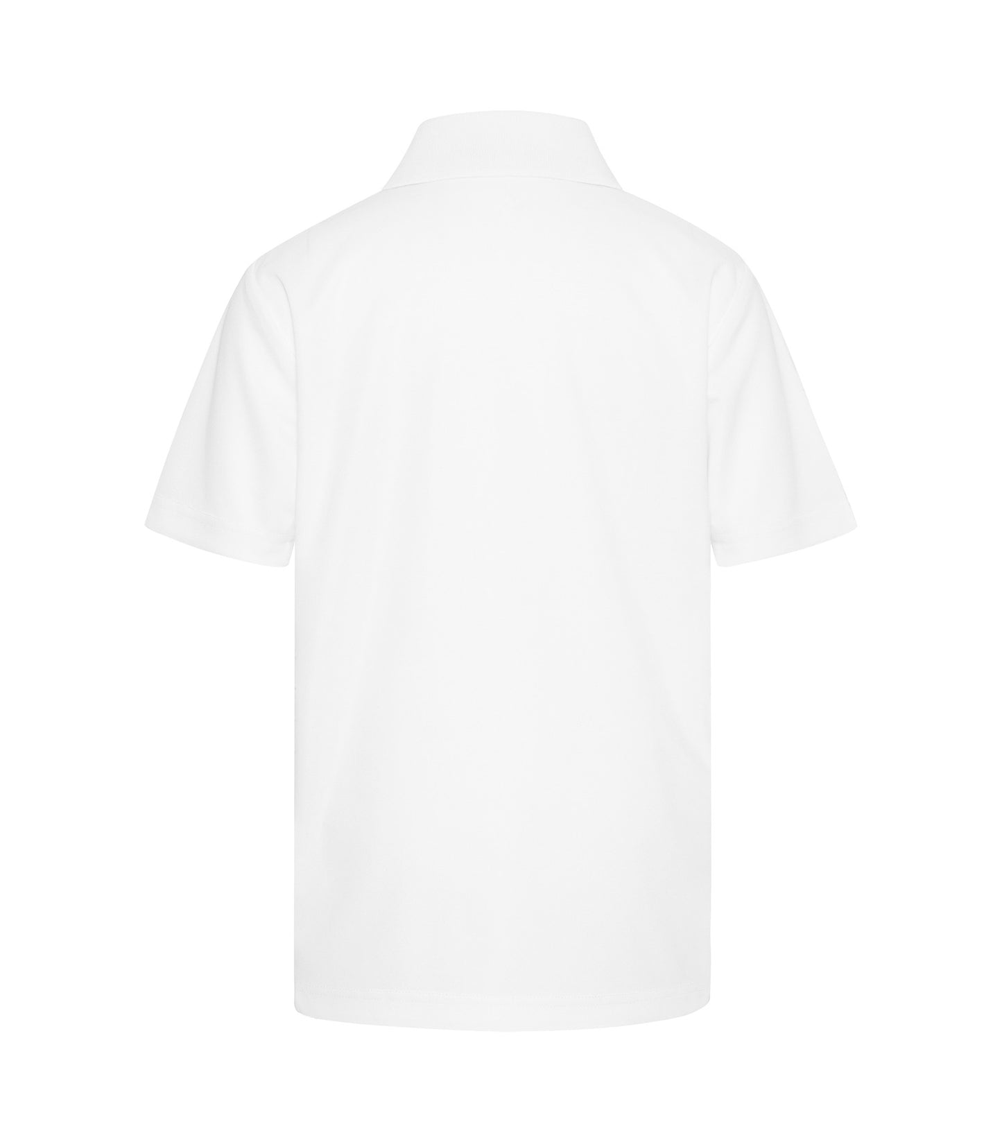 White-model Image