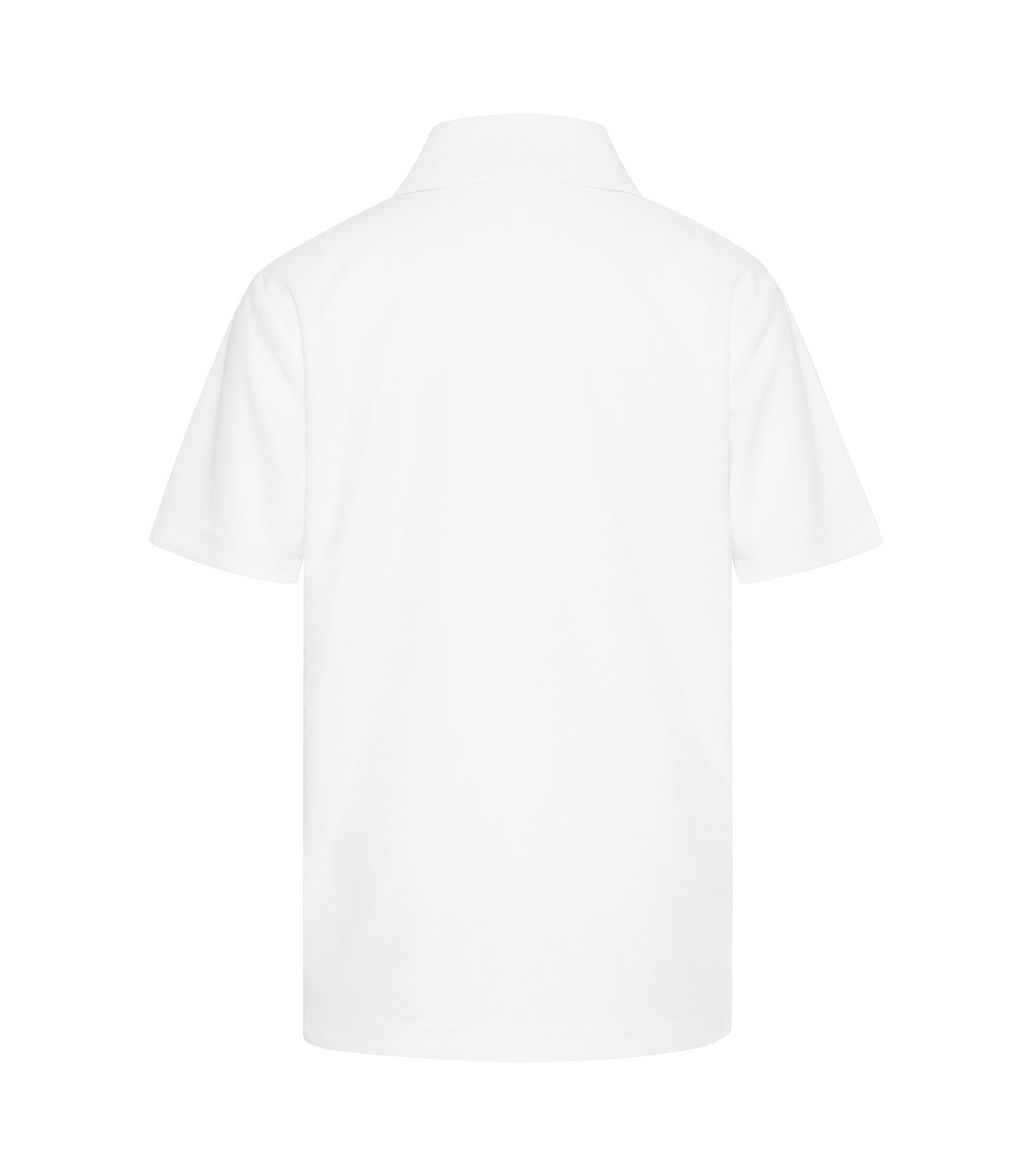 White-model Image