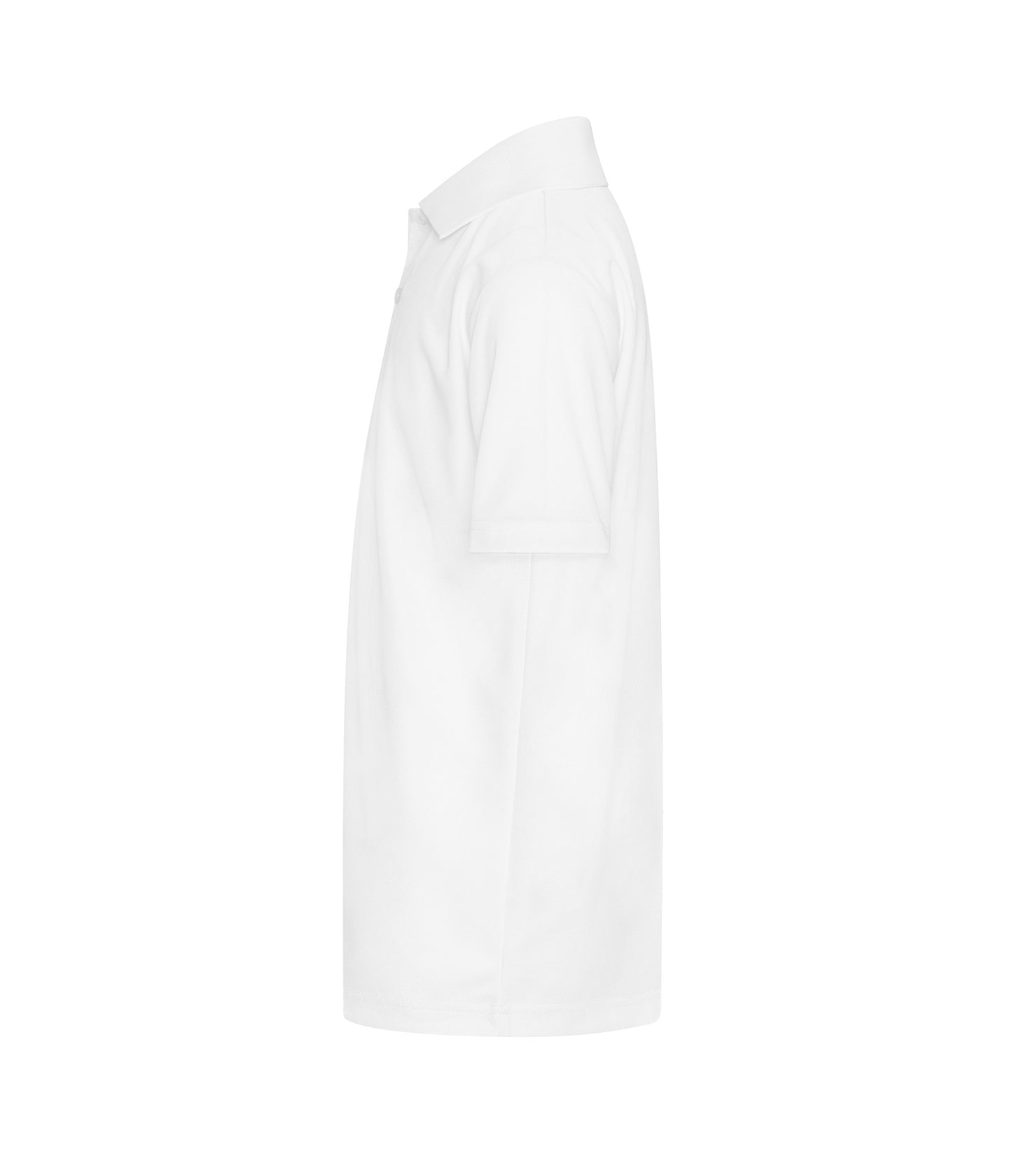 White-model Image