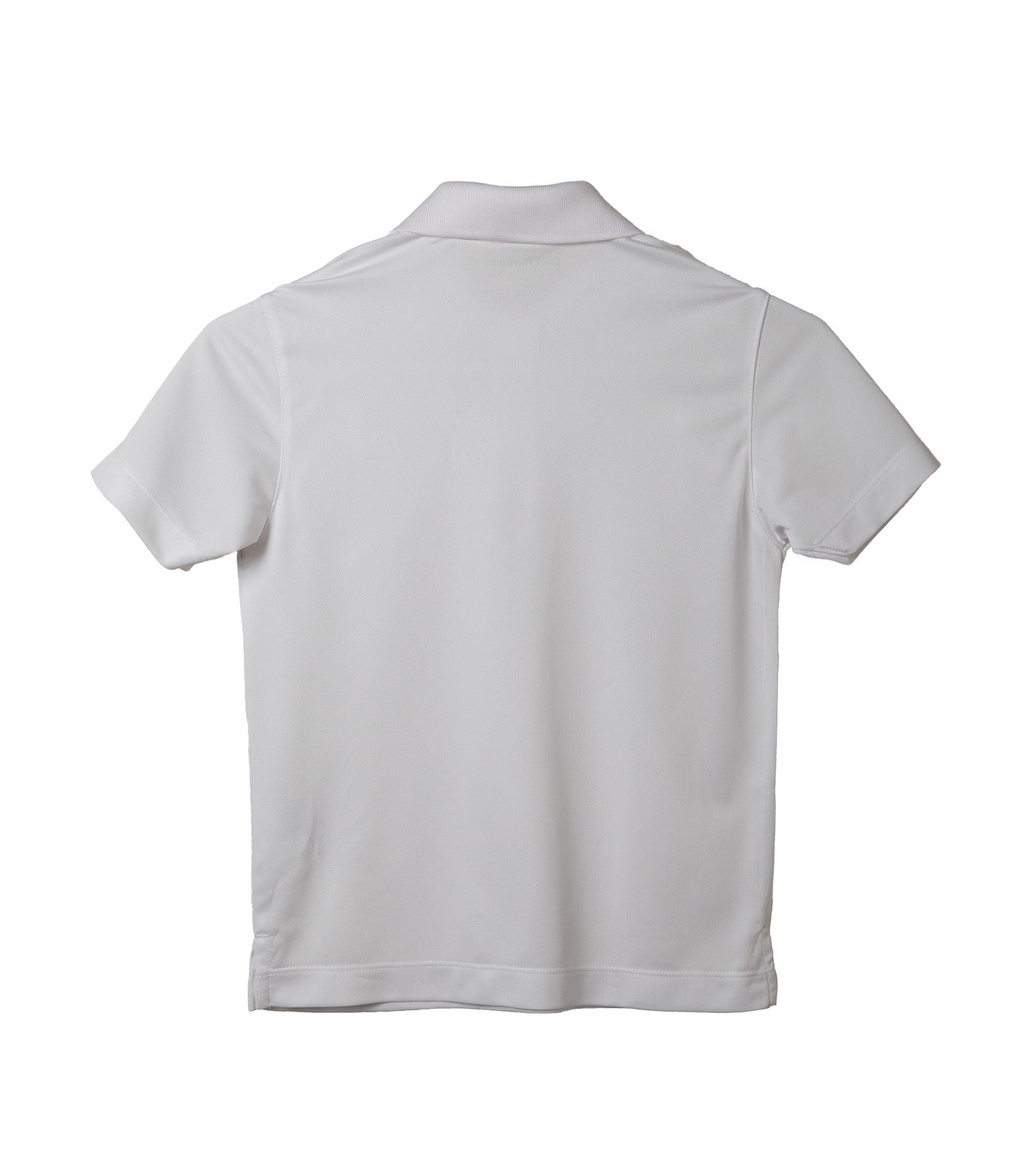 White-model Image
